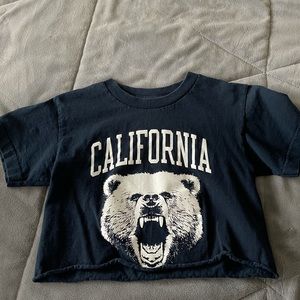 Brandy Melville Cropped T shirt